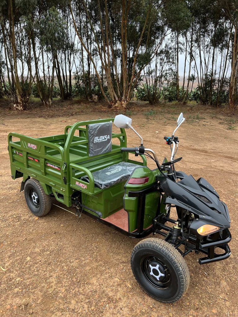 Electric scooters in South Africa