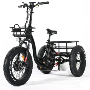 E-Trike
