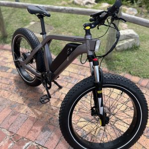 E-Mountain Bike